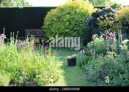 Englischer Landhausgarten, mit einem Rasen umgeben von Blumenbeeten voller rosa, lila und roter Blumen, in der Abendsonne Stockfoto