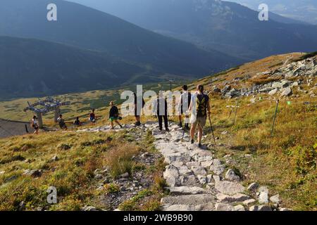 TATRA BERGE, POLEN - 9. SEPTEMBER 2023: Touristen wandern den grünen Weg im Dolina Goryczkowa Tal im Tatrzanski Park Narodowy (Tatra National Par Stockfoto