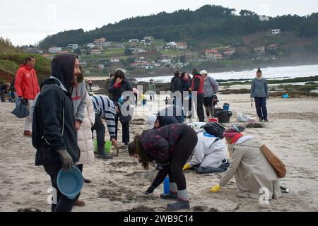 Zahlreiche Freiwillige gingen an die Strände von Galicien, um Plastikgranulat zu sammeln, das auf ein Boot gefallen war, mit einfachen Werkzeugen wie Trichtern, Sieben, Stockfoto