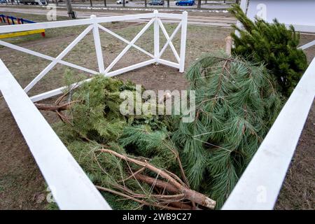 KIEW, UKRAINE - 09. JANUAR 2024 - Sammelstelle für den Weihnachtsbaum für das ökologische Recycling an der Ecke Symyrenko und Hryhorovych-Barskyi Straßen Stockfoto