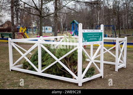 KIEW, UKRAINE - 09. JANUAR 2024 - Sammelstelle für den Weihnachtsbaum für das ökologische Recycling an der Ecke Symyrenko und Hryhorovych-Barskyi Straßen Stockfoto