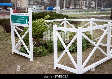 KIEW, UKRAINE - 09. JANUAR 2024 - Sammelstelle für den Weihnachtsbaum für das ökologische Recycling an der Ecke Symyrenko und Hryhorovych-Barskyi Straßen Stockfoto
