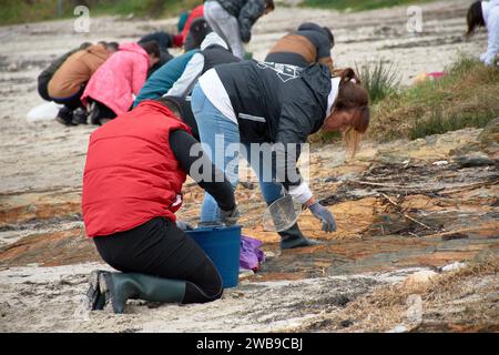 Zahlreiche Freiwillige gingen an die Strände von Galicien, um Plastikgranulat zu sammeln, das auf ein Boot gefallen war, mit einfachen Werkzeugen wie Trichtern, Sieben, Stockfoto