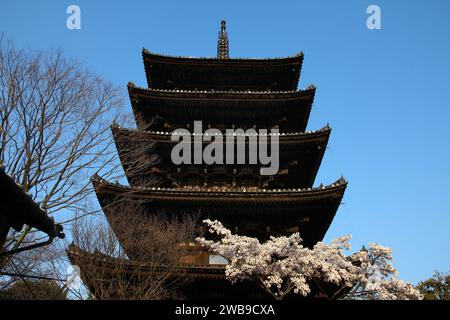 Kyoto, Japan. Yasaka-Pagode und Kirschblüten (Sakura). Teil des UNESCO-Weltkulturerbes. Stockfoto
