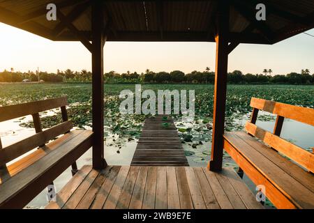 Traditioneller Pavillon im thailändischen Stil am Lotusteich. Holz Thai Pavillon reflektiert im Sonnenuntergang. Alter hölzerner thai-Pavillon am Fluss. Stockfoto