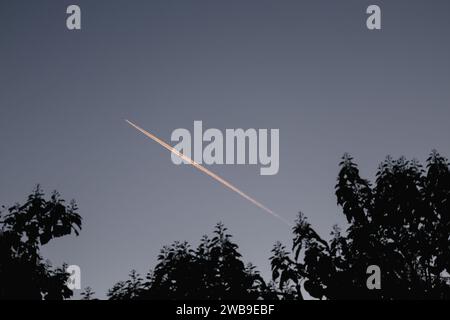 Ein Jet-Flugzeug am blauen Himmel. Weißer Kondensstreifen in den Farben Orange bei Sonnenuntergang. Wunderschöner Moment bei Sonnenuntergang zwischen Bäumen. Stockfoto