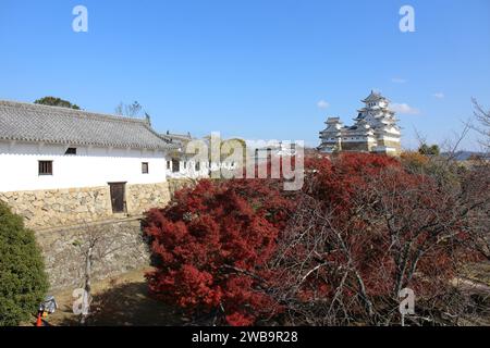 Himeji-Burg und klarer blauer Himmel vom Nishinomaru-Platz in Himeji, Japan Stockfoto