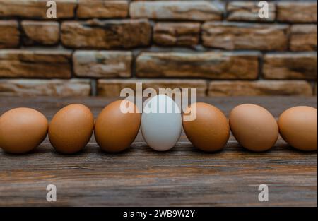 Das Foto zeigt sieben Eier in einer Reihe auf einem Holztisch vor einer Steinmauer. Eines der Eier ist weiß, der Rest ist braun. Das weiß Stockfoto