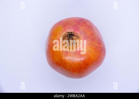 Rotreifer Granatapfel auf isoliertem weißem Hintergrund Stockfoto