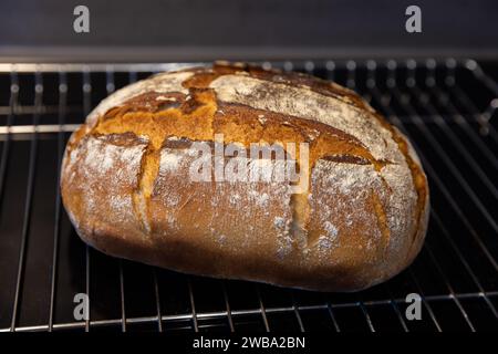 frisch gebackenes Brot auf einem Kuchengitter Stockfoto