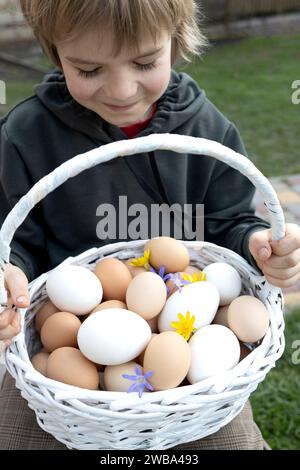 Jede Menge Hühner frisch gesammelte Eier in einem Korb in den Händen eines Kindes. Bauernhof, Dorf. Ökologische Lebensmittel, Geflügelzucht. Vorbereitung auf Ostern. ver Stockfoto