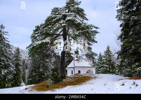 DEU, Deutschland, Bayern, Mittenwald, 15.12.2023: Winterlandschaft mit der Kapelle Maria Königin am Wanderweg von Mittenwald in Oberbayern zum Lautersee im Dezember *** DEU, Germany, Bavaria, Mittenwald, 15 12 2023 Winterlandschaft mit der Maria Königin Kapelle auf dem Wanderweg von Mittenwald in Oberbayern zum Lautersee im Dezember Stockfoto