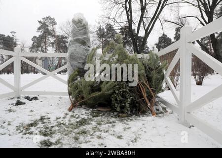 KIEW, UKRAINE - 09. JANUAR 2024 - Sammelstelle für Weihnachtsbäume für ökologisches Recycling in der Kioto-Straße, Kiew, Hauptstadt der Ukraine. Stockfoto