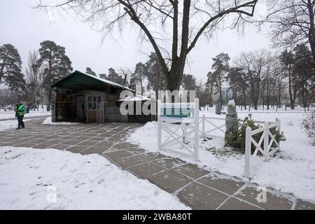 KIEW, UKRAINE - 09. JANUAR 2024 - Sammelstelle für Weihnachtsbäume für ökologisches Recycling in der Kioto-Straße, Kiew, Hauptstadt der Ukraine. Stockfoto