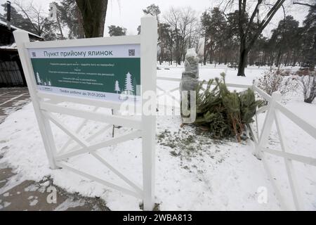 KIEW, UKRAINE - 09. JANUAR 2024 - Sammelstelle für Weihnachtsbäume für ökologisches Recycling in der Kioto-Straße, Kiew, Hauptstadt der Ukraine. Stockfoto