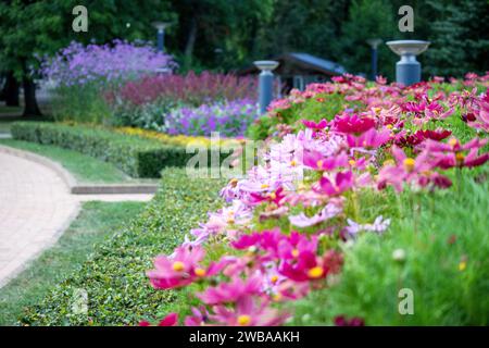 Nahaufnahme von kleinen rosa Blumen mit grünen Buschbäumen im Hintergrund und Laternen in der Mitte Stockfoto