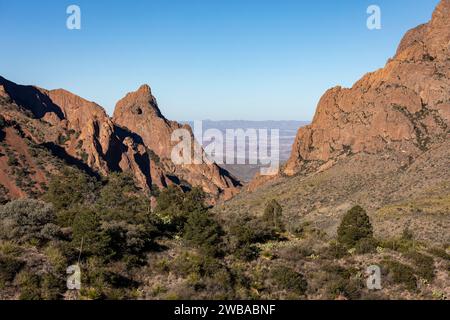 Das Fenster vom Chisos Basin in Big Bend NP, Texas Stockfoto