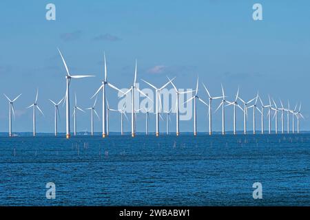Windturbinen im IJsselmeer in Friesland in den Niederlanden Stockfoto