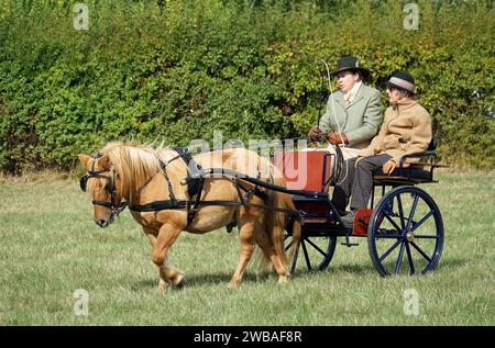 Kutschfahrt Gig mit einem Pferd und Fahrer und Beifahrer auf dem Feld. Stockfoto