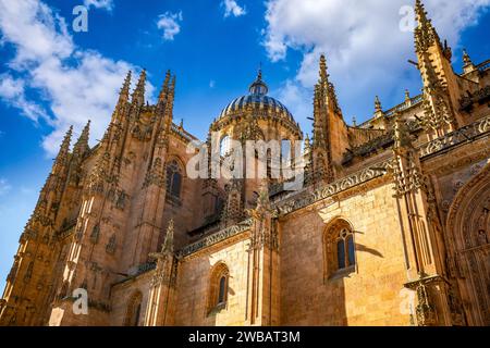 Blick auf die Seite der neuen Kathedrale von Salamanca, Castilla y León, Spanien, Weltkulturerbe Stockfoto