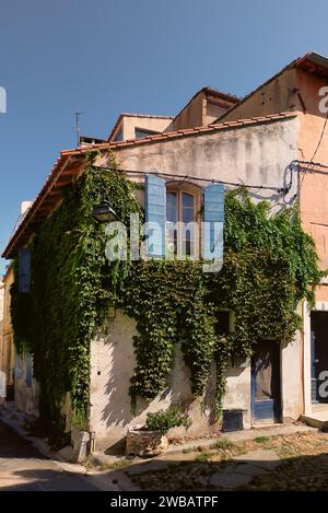 Arles, Frankreich, 9. September 2023, Blick auf ein Eckhaus mit Kletterpflanzen im antiken Teil der Stadt Stockfoto