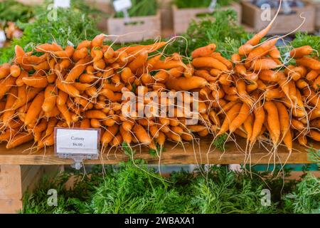 Nahaufnahme von Karotten und Radieschen auf einem Bauernmarkt im Freien. Stockfoto