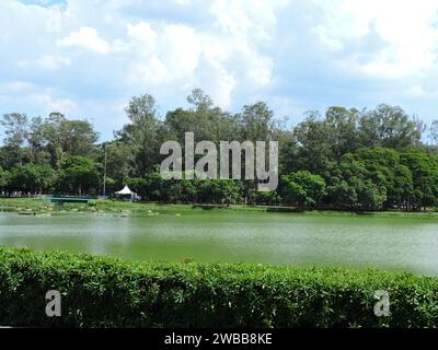 Sao Paulo, Sao Paulo, Brasilien. Januar 2024. Sao Paulo (SP), 01/09/2024 - FREIZEIT /RAINS/IBIRAPUERA - der Ibirapuera Park wurde an diesem Dienstag gegen 14:30 Uhr wieder für die Öffentlichkeit geöffnet, nachdem er wegen der starken Regenfälle, die die Hauptstadt Sao Paulo in zweiter Runde heimgesucht haben, geschlossen wurde(8). Viele umgestürzte Bäume sind im gesamten Park zu sehen und der Bereich, in dem das Festzelt, das einstürzte, ist geschlossen. (Foto: Leandro Chemalle/Thenews2/Zumapress) (Credit Image: © Leandro Chemalle/TheNEWS2 via ZUMA Press Wire) NUR REDAKTIONELLE VERWENDUNG! Nicht für kommerzielle ZWECKE! Stockfoto