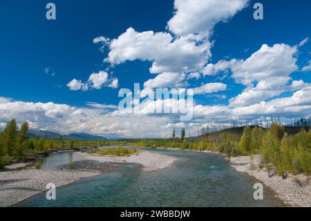 North Fork Flathead River bei Polebridge, Glacier National Park, Montana Stockfoto