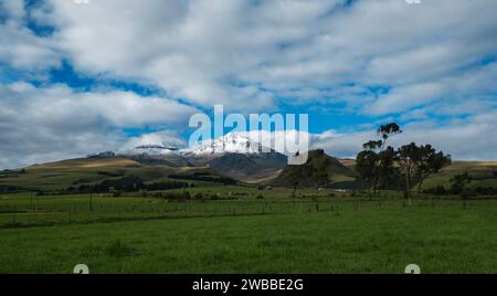 Panoramablick auf den eisbedeckten Vulkan Los Ilinizas über grüne Felder mit weidenden Kühen und Bäumen an einem sonnigen Tag mit blauem Himmel - Ecuador Stockfoto