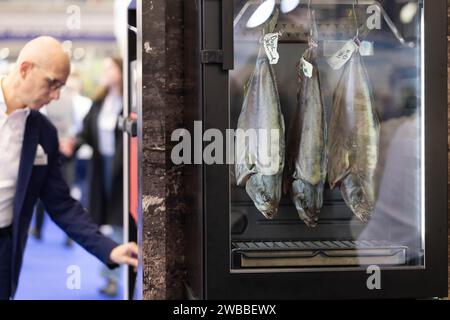 Amsterdam, Niederlande. Januar 2024. Getrocknete Fische werden am 9. Januar 2024 auf der HORECAVA 2024 in Amsterdam, Niederlande, ausgestellt. DIE HORECAVA, eine niederländische Fachmesse für Lebensmittel-, Getränke- und Dienstleistungsindustrie, findet hier von Montag bis Donnerstag statt. Quelle: Sylvia Lederer/Xinhua/Alamy Live News Stockfoto