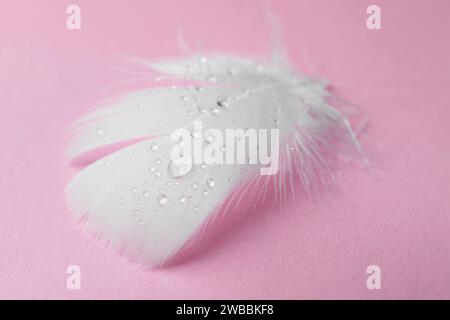 Flauschige Feder mit Wassertropfen auf rosa Hintergrund, Nahaufnahme Stockfoto