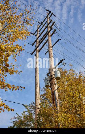 Herbstliche Versorgungsmasten mit Transformatoren und Blue Sky Stockfoto