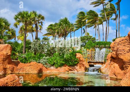 Tropische Palmen am ruhigen Wasserfall auf Paradise Island Stockfoto