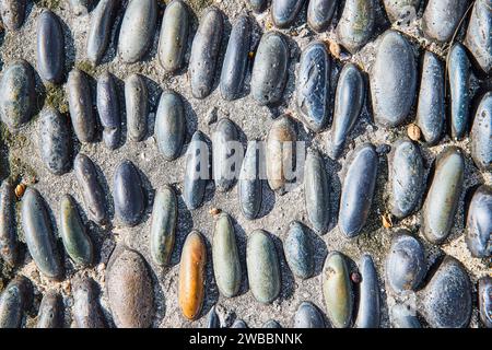 Nahaufnahme mit Wet Pebble Texture am Riverside Stockfoto