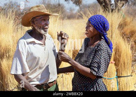 Porträt eines alten afrikanischen Dorfes, das sich glücklich auf dem Bauernhof unterhält, Gras im Hintergrund strohen Stockfoto