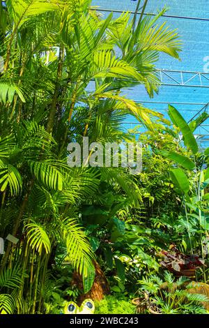 Der tropische Botanische Garten von Nongnooch ist ein sehr beliebtes Touristenziel. Es gilt als einer der 10 schönsten Gärten der Welt. In Cho Stockfoto