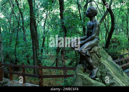 Boy Carver Statue, George Washington Carver National Monument, Missouri Stockfoto