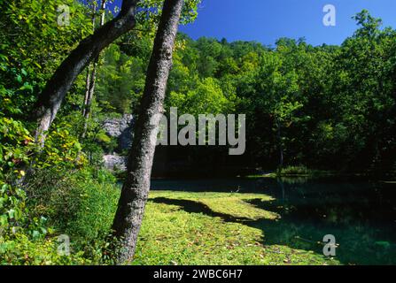 Alley Spring, Ozark National malerischen Parkanlagen, Missouri Stockfoto