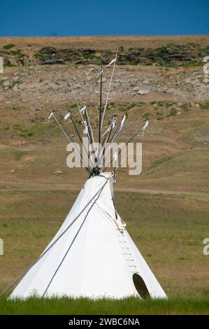 Tipi, First Peoples Buffalo Jump State Park, Montana Stockfoto