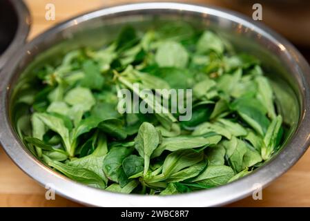 Eine Schüssel mit leuchtenden grünen Spinatblättern, frisch gespült und zum Kochen oder Servieren als gesunder Salat zubereitet. Stockfoto