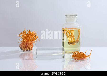 Vorderansicht der Laborausrüstung mit Cordyceps militaris, verziert mit transparentem Podium auf weißem Hintergrund. Leerzeichen für Display Pro Stockfoto