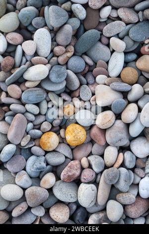 Kieselsteine am Strand. Morayshire, Schottland Stockfoto