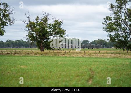 Rinderfarm-Landschaft mit sanften Hügeln und Kühen auf Feldern in Australien. Schönes grünes Gras und fette Kühe und Stiere, die weiden Stockfoto