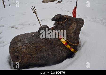 Nandi, das heilige Bullenkalb, Torwächter, Fahrzeug des hindugottes Shiva. Skulpturen von Nandi sind ein häufiger Anblick der hinduistischen Tempel, die seiner Maste gewidmet sind Stockfoto