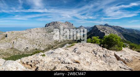 Escursionista contemplando el valle de Binimorat y el Puig Major, 1445 Metros de Altitud, Paraje Natural de la Serra de Tramuntana, Mallorca, balearen Stockfoto