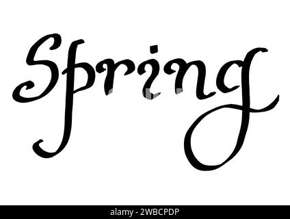 Das Wort Spring in Schwarz auf weißem Hintergrund. Handgeschriebene Schriftart, Kalligraphie, Schriftzüge. Abgerundete Buchstaben. Kursiv. Stockfoto