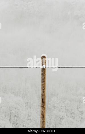 Cuneo (Piemont, Italien). Januar 2024. Im Winter bedecken die Wälder des Stura-Tals in den Seealpen heftige Schneefälle Stockfoto