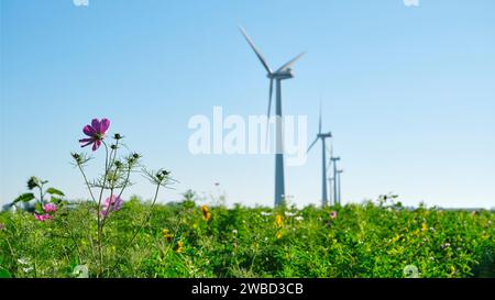 Windräder hinter einem Feld mit wilden Blumen am frühen Abend. Bild mit selektivem Fokus. Stockfoto