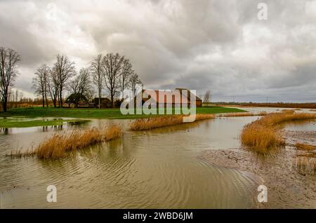 Werkendam, Niederlande, 29. Dezember 2024: Aufsteigendes Wasser mit einem Deich, der eine historische Farm im Rahmen des Projekts Room for the River in Noordw schützt Stockfoto