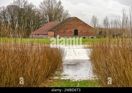 Werkendam, Niederlande, 29. Dezember 2024: Blick zwischen Büschen über ansteigendes Wasser auf einen Ringdike, der ein monumentales Bauernhaus schützt Stockfoto